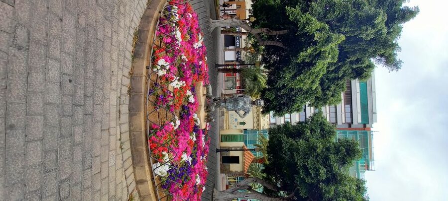 Las Palmas: Private City Highlights & Northern Villages Tour - Las Canteras: pirate stories and the sea-front rhythm
