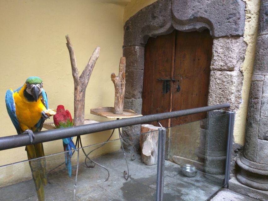 Las Palmas: Private Old City Guided Walking Tour with Tapas - Quick highlights that matter