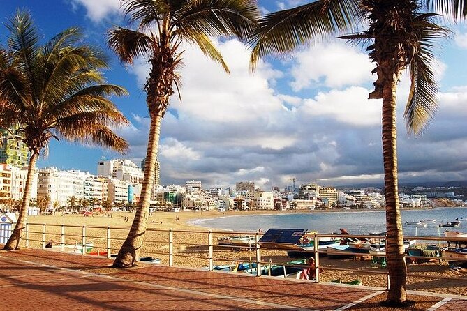Las Palmas Tour: Vegueta, Botanical Garden & Bandama Crater - How this day tour really feels: structured, with breathing room