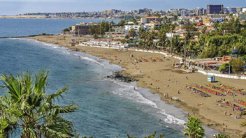Maspalomas: 1 Hour Segway Sightseeing Tour - Playa del Inglés promenades and cycle paths: easy cruising with good sightlines