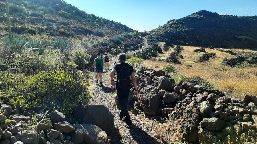 Maspalomas: Barranco de las Vacas & Caves with Sky Rebels - Walking Distance, Weather, and Rules That Keep It Manageable
