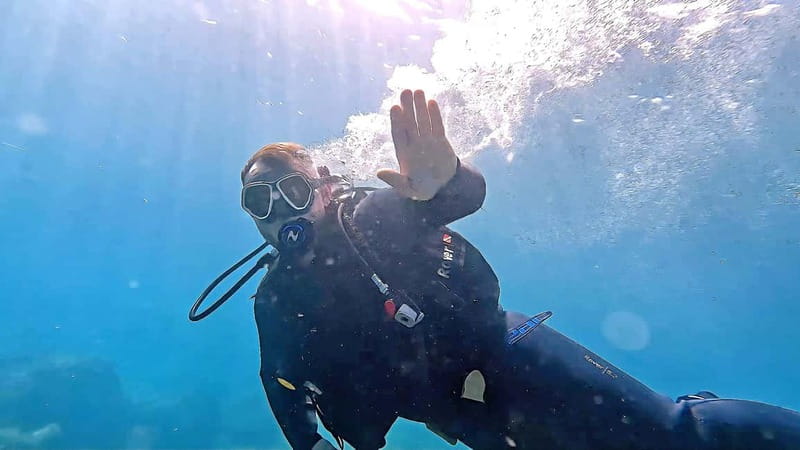 Maspalomas: Discover Scuba Diving with Pickup - Key highlights you should actually care about