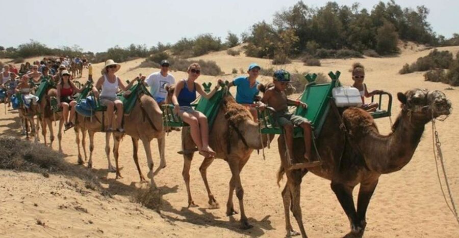 A camel string crossing the Maspalomas dunes