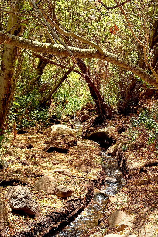 Maspalomas: Hiking in the Waterfalls with Sky Rebels - Should you book Sky Rebels for the Maspalomas waterfall hike?