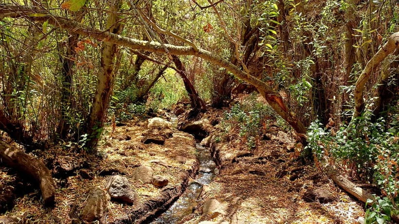 Maspalomas: Hiking in the Waterfalls with Sky Rebels - Barranco de los Cernícalos: why this hike feels like another Gran Canaria