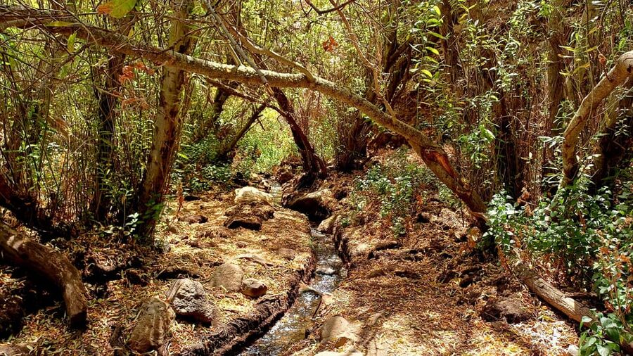 Maspalomas: Hiking in the Waterfalls with Sky Rebels - Food and gear: sandwiches, fruit, snacks, and the one item not provided