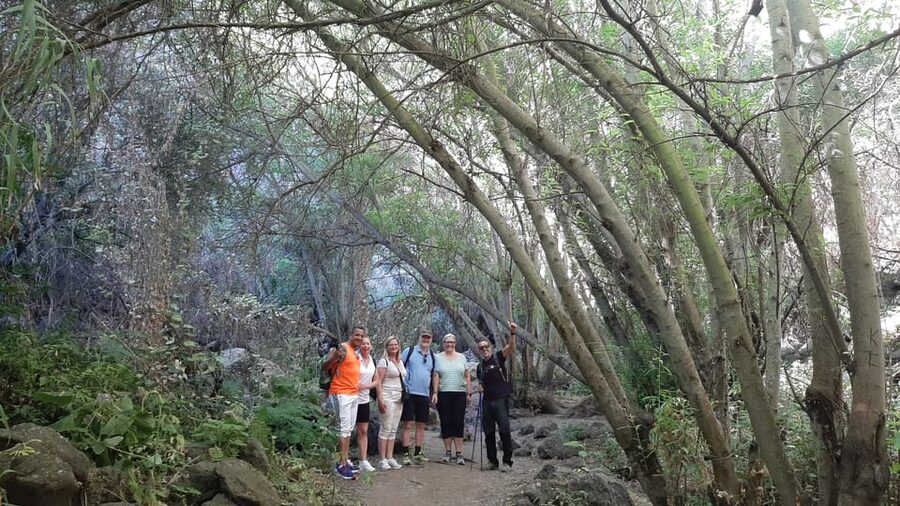 Maspalomas: Hiking in the Waterfalls with Sky Rebels - Pickup and van time from Maspalomas: how to avoid wasting the day