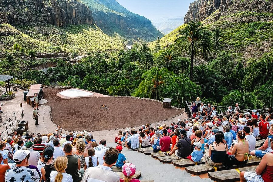 Maspalomas: Palmitos Park Ticket with Dolphin and Bird Shows - Dolphin show at Palmitos Park’s dolphinarium
