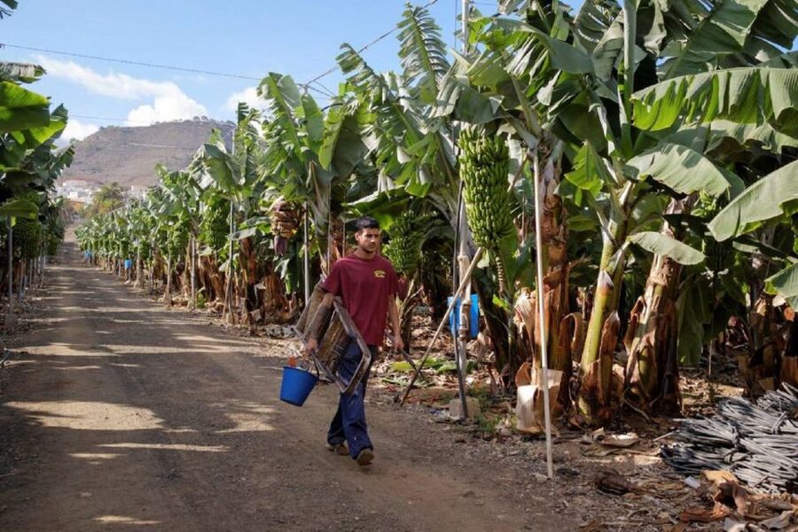 Maspalomas: Rent 4 or 8 hours untill 7-Day Mountain Bike - Picking your day: 4 hours or a full week of route freedom