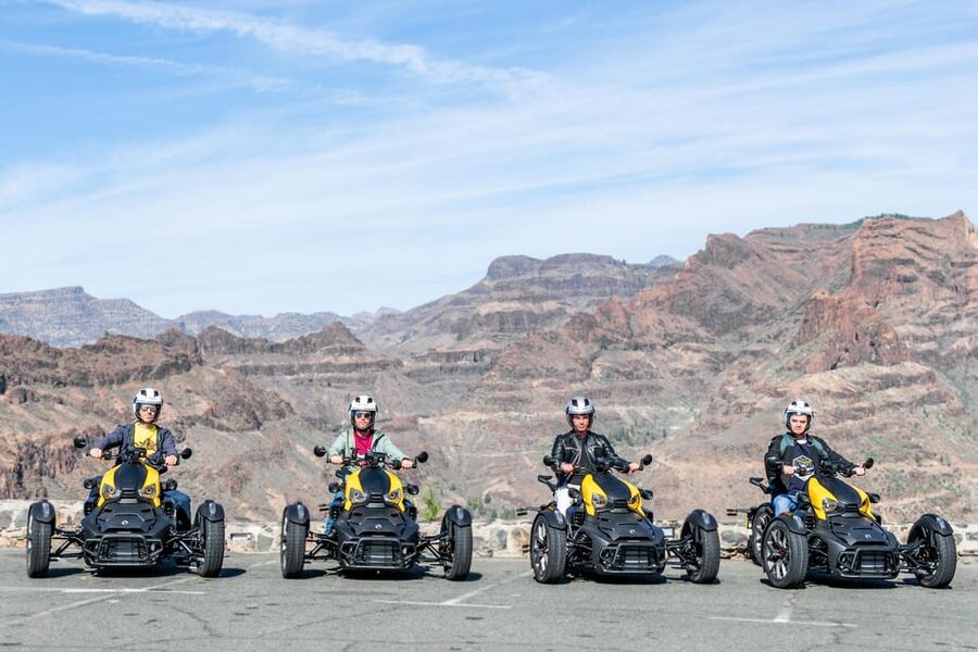 Maspalomas: Ryker Moto Tour to Fataga (Mountain buggy) - The Aloe Vera Plantation Visit: A Quick, Useful Detour