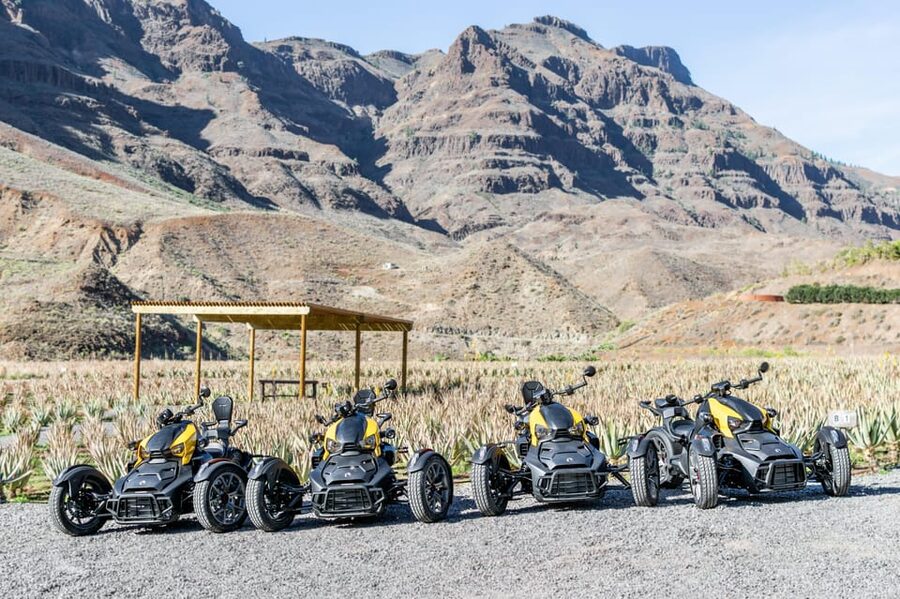 Maspalomas: Ryker Moto Tour to Fataga (Mountain buggy) - Price and Value: What You Get for $88