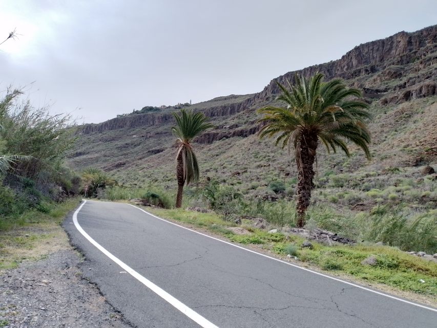 Maspalomas: Southern Coast E-Bike Tour Option Tapas Tasting - Botanical Garden of Maspalomas: a short walk with a useful payoff