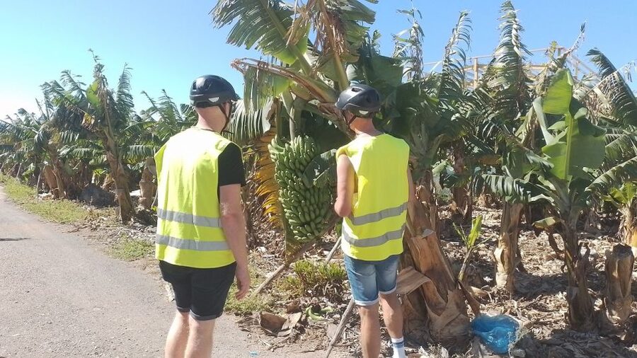 Maspalomas: Southern Coast E-Bike Tour Option Tapas Tasting - Riding the southern coast: Meloneras, Pasito Blanco, and ocean air