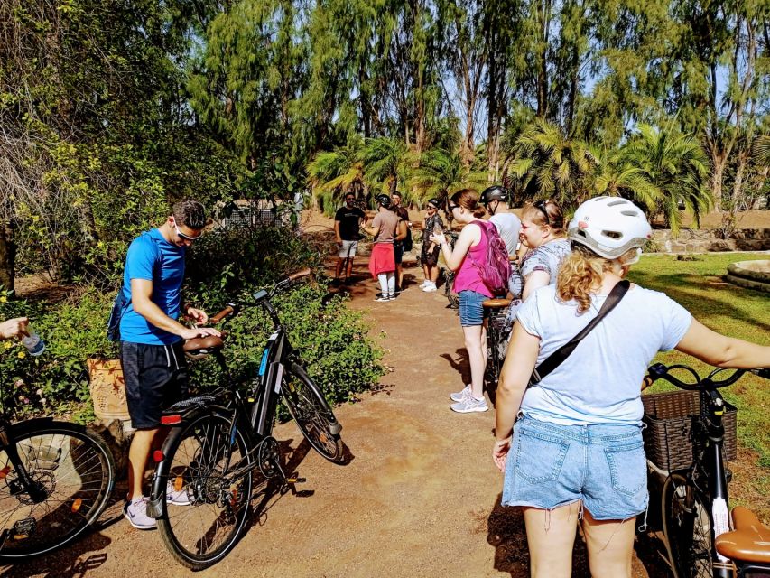 Maspalomas: Southern Coast E-Bike Tour Option Tapas Tasting - E-bike details that matter: effort level, safety kit, and capacity