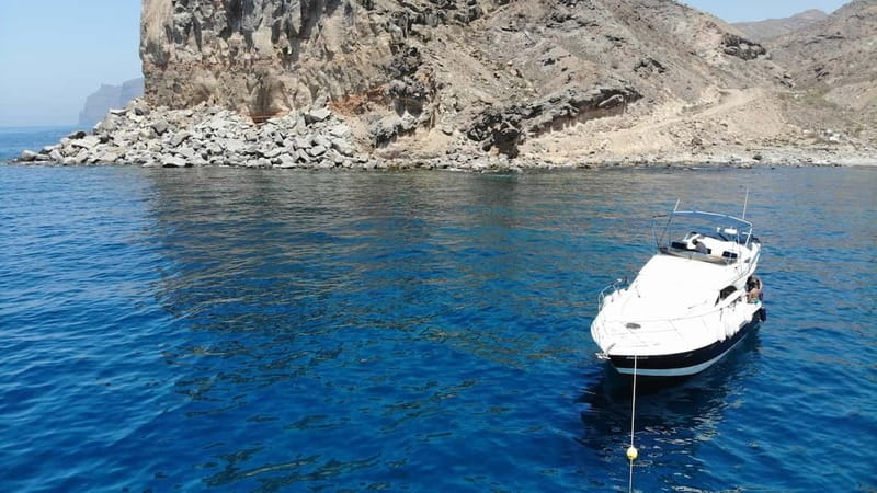 Mogan: Dolphin Watching Boat Trip with Swim Stop - Puerto de Mogan Meets the South-West Coast: The 4-Hour Reality