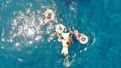 Dolphin Watching Boat Trip with Swim Stop