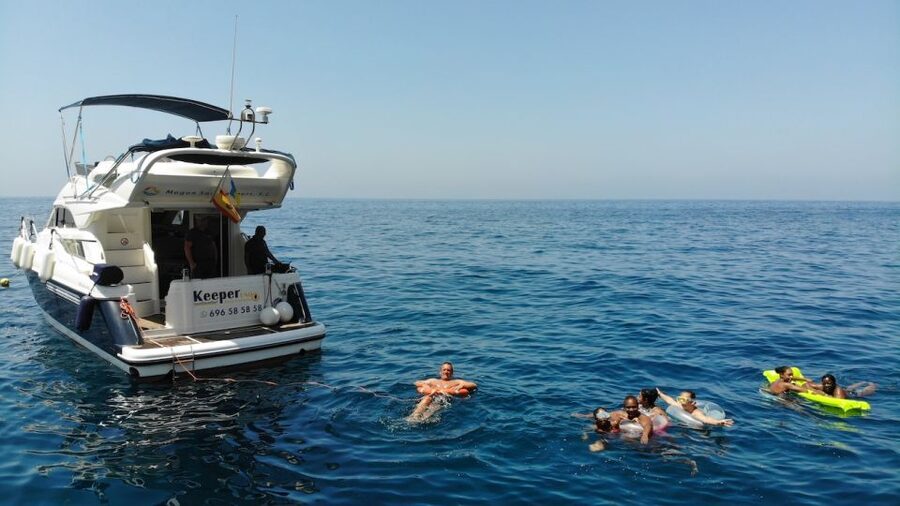 Mogan: Dolphin Watching Boat Trip with Swim Stop - Comfort, Crew, and the Little Touches That Add Up