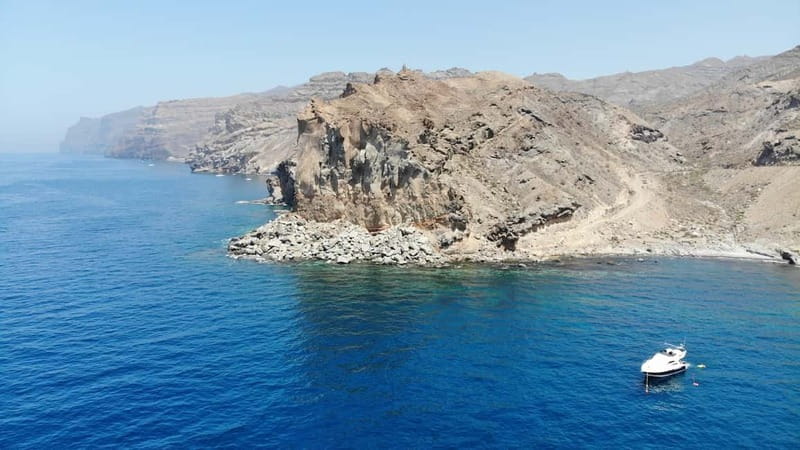 Mogan: Dolphin Watching Boat Trip with Swim Stop - Practical Tips Before You Go