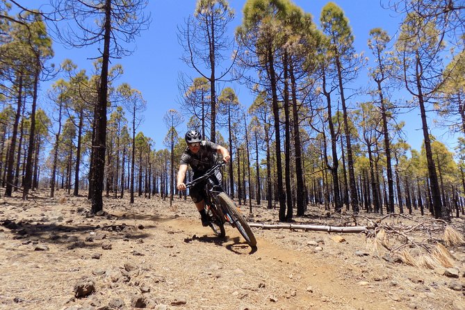 Mountain bike excursions - Key highlights