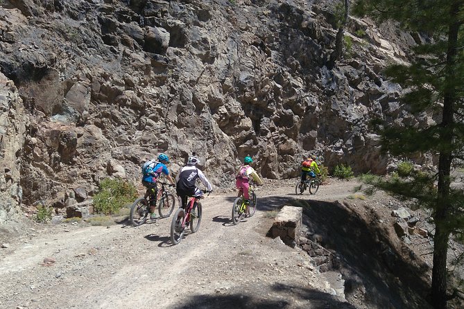 Mountain bike excursions - Stop 2: Parque Natural Pilancones and pine-forest riding