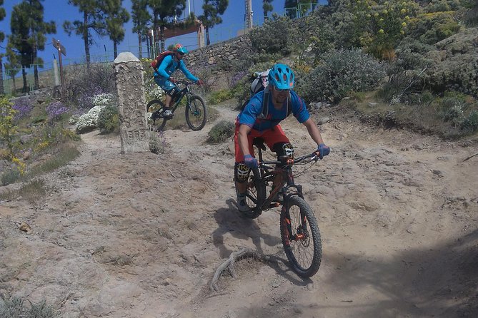 Mountain bike excursions - Small groups, guide support, and how it helps on tougher moments