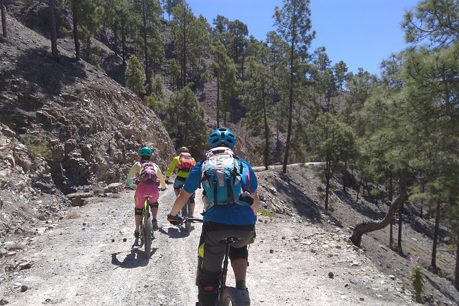 Mountain bike excursions - Price and value: what $89.80 includes, and what you must plan for