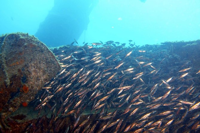 PADI Open Water Course in Gran Canaria - Family-friendly scuba training, with teens and first-timers in mind