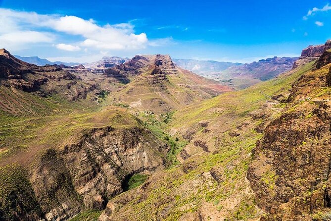 Picos de Gran Canaria by Minibus: Firgas, Teror, Aloe Vera and More - Finca Canarias Aloe Vera: the ticketed highlight at about 50 minutes
