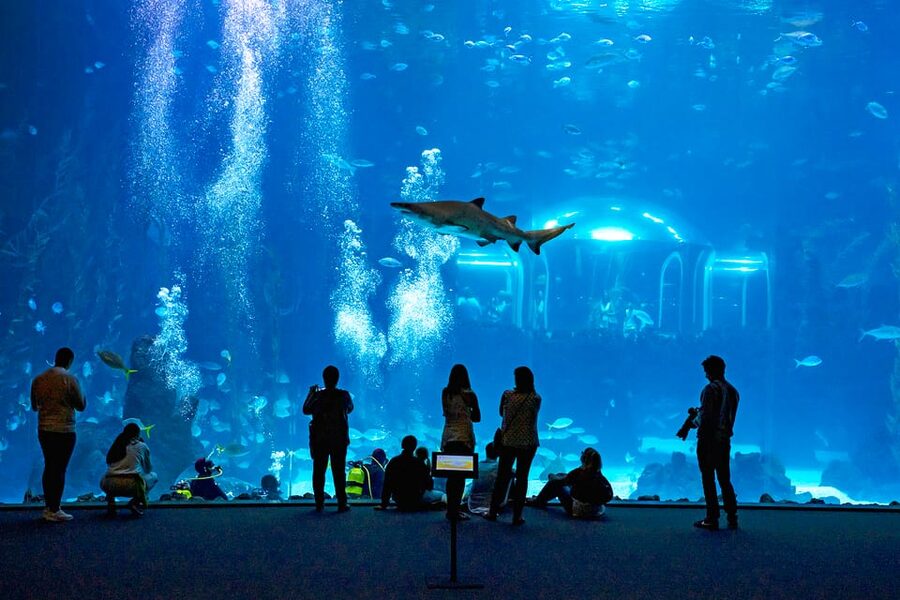 Poema del Mar Skip-the-Line Ticket - The Arrecife water-cylinder walk: 400,000 liters of coral and fish