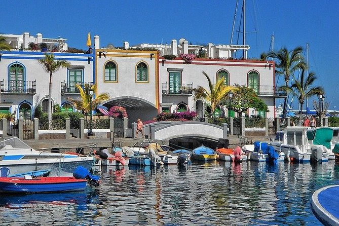 Private 8-hour Tour of Central and Southwest of Gran Canaria w/ Hotel pick-up - Key Points I’d Prioritize Before Booking