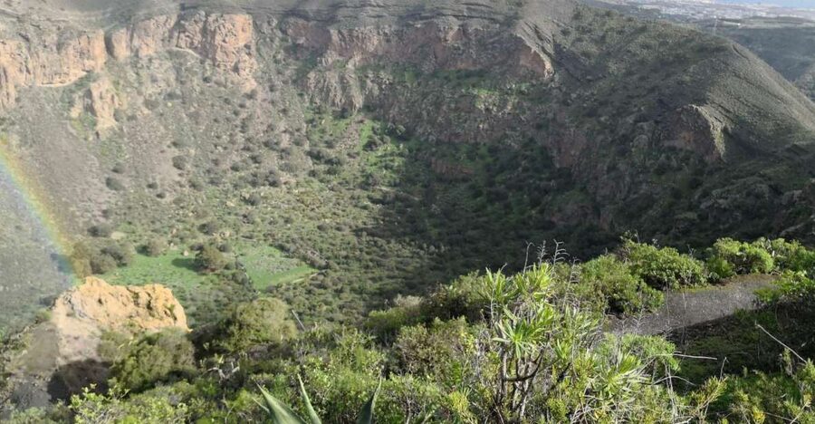 Private Bandama Caldera Volcano, Botanic Garden & Old Town - How this half-day tour earns its value