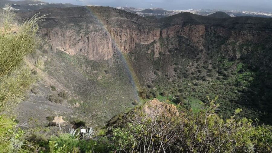 Private Bandama Caldera Volcano, Botanic Garden & Old Town - Tafira Botanical Garden: plants and shapes you remember