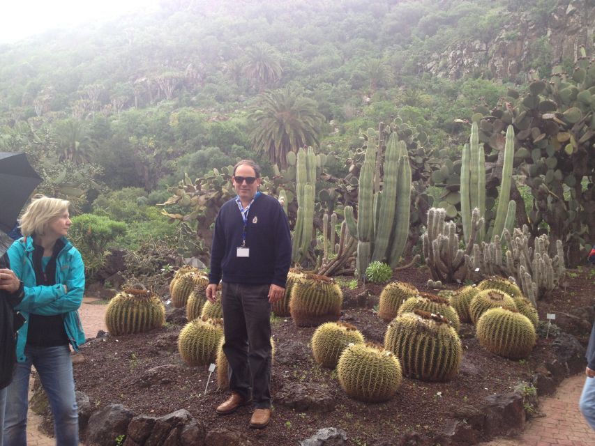 Private Bandama Caldera Volcano, Botanic Garden & Old Town - The Old Town drop-off: how to spend it well