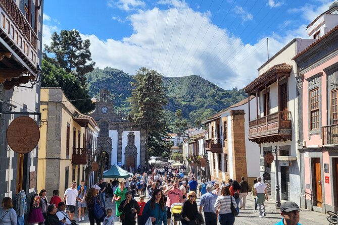 Private Tour from the Port of Las Palmas to Teror Firgas Arucas - Key highlights you can count on