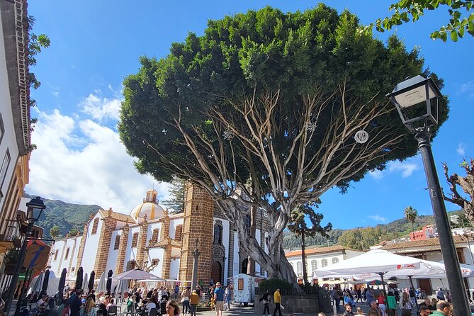 Private Tour from the Port of Las Palmas to Teror Firgas Arucas - Arucas old town, black basalt San Juan Bautista church, and the garden microclimate