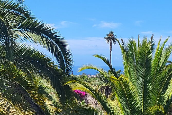 Private Tour from the Port of Las Palmas to Teror Firgas Arucas - Price and value for a private Gran Canaria north day