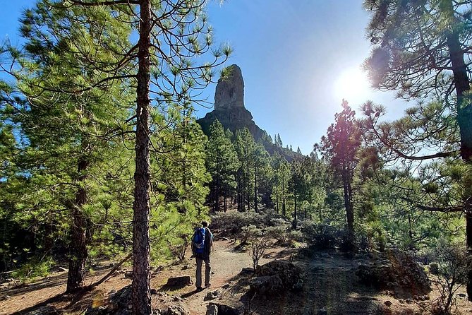 Professional climbing guide - Roque Nublo: where big rock energy helps you climb with confidence