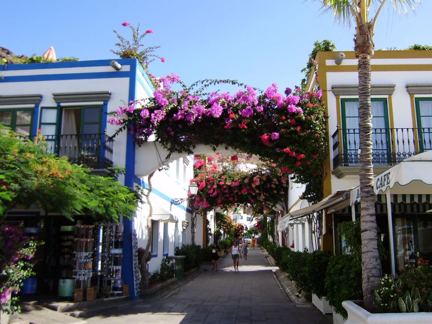 Puerto de Mogan: Friday Market Experience - What the Assistant Guide Adds on the Bus Ride