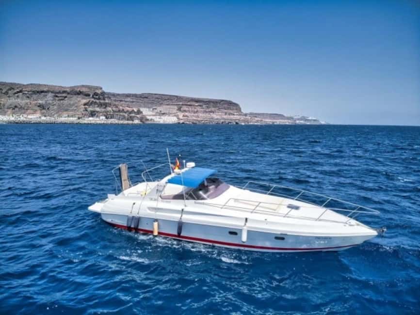 Puerto de Mogán: PRIVATE yacht for up to 9 people - Key highlights to know before you go