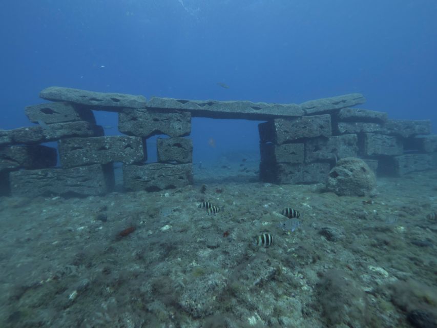 Puerto de Mogán: Submarine Tour - Key takeaways before you go