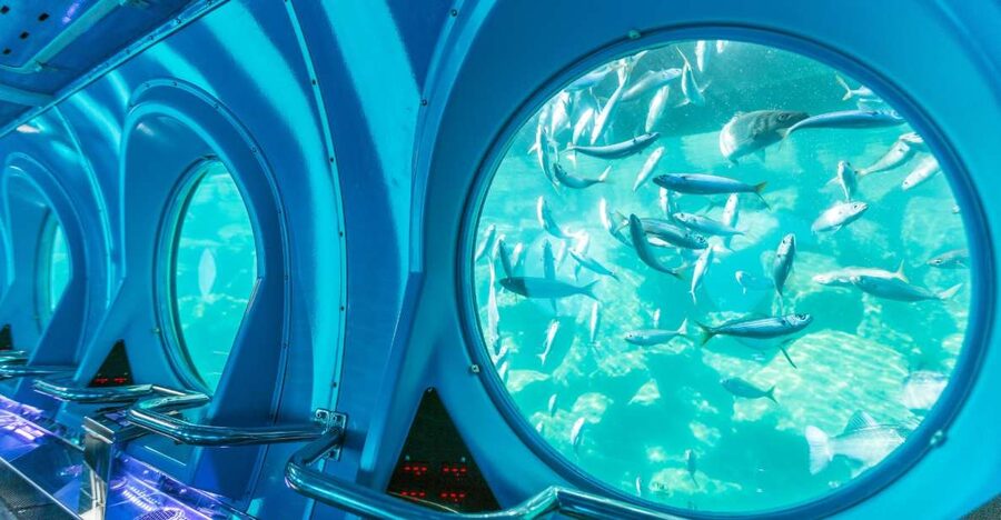 Puerto de Mogán: Submarine Tour - Should you book the Puerto de Mogán submarine tour?