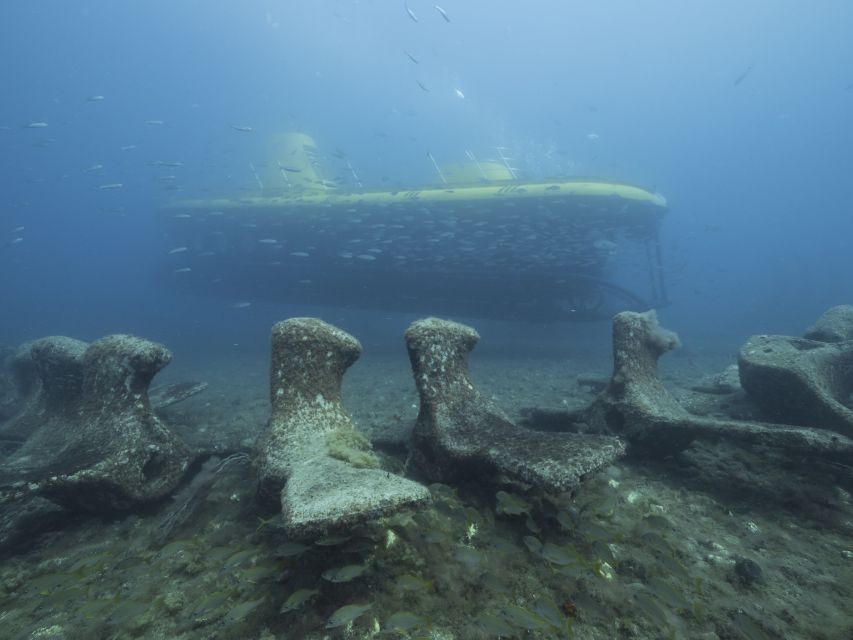 Puerto de Mogán: Submarine Tour - Price and value: what $45 buys you in real terms