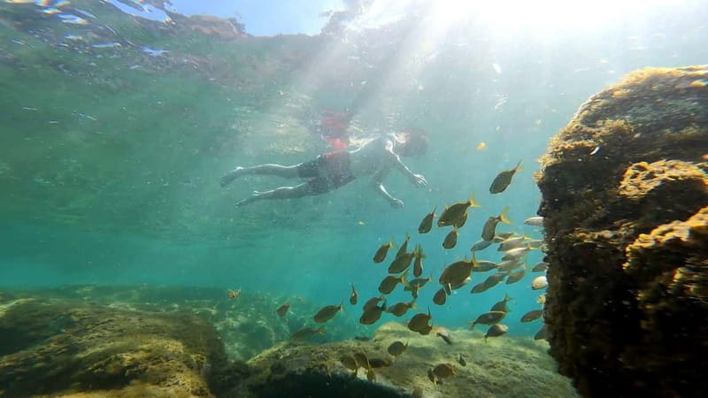 Puerto Mogán: Guided Adventure Kayak Tour in Caves & Snorkel - Mogán Caves Adventure Starts With Gear and a Safety Read You Can Trust