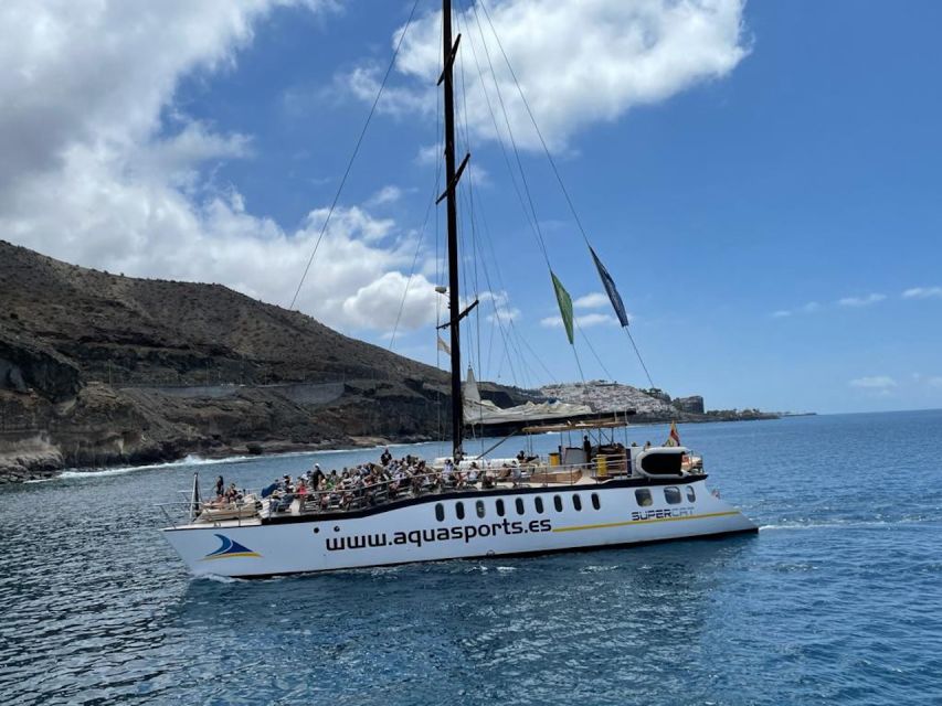 Puerto Rico : 2 hour Dolphin Catamaran Excursion - Practical Tips That Make a Big Difference in Two Hours