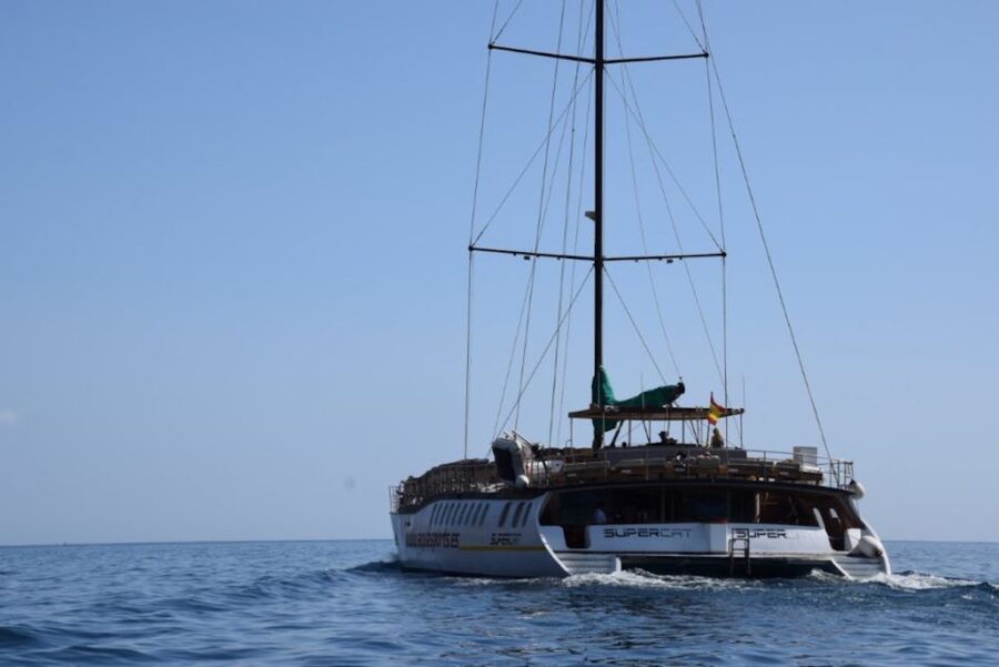 Puerto Rico : 2 hour Dolphin Catamaran Excursion - Why This 2-Hour Dolphin Catamaran Fits Gran Canaria So Well