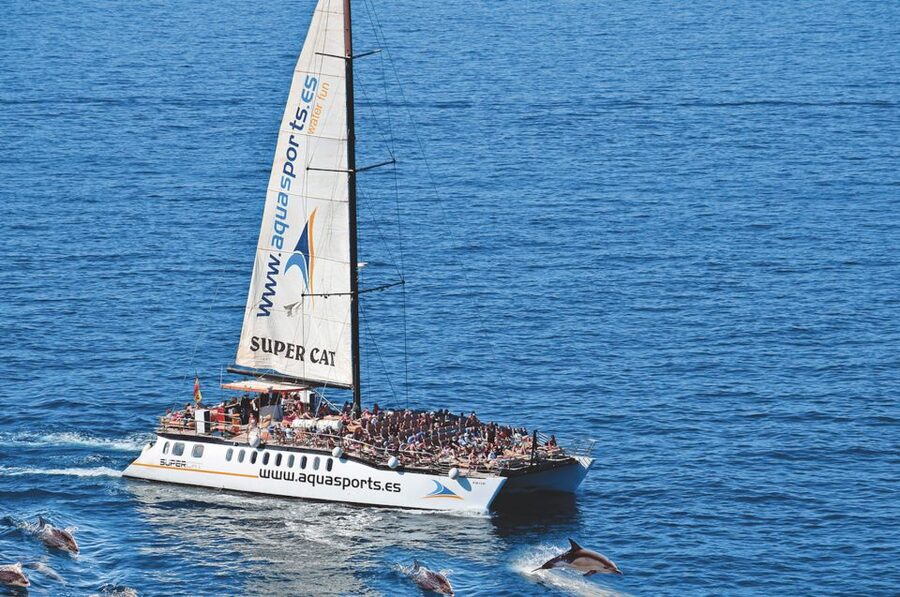 Puerto Rico : 2 hour Dolphin Catamaran Excursion - Boarding Day: What the Catamaran Experience Feels Like