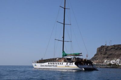 2 hour Dolphin Catamaran Excursion