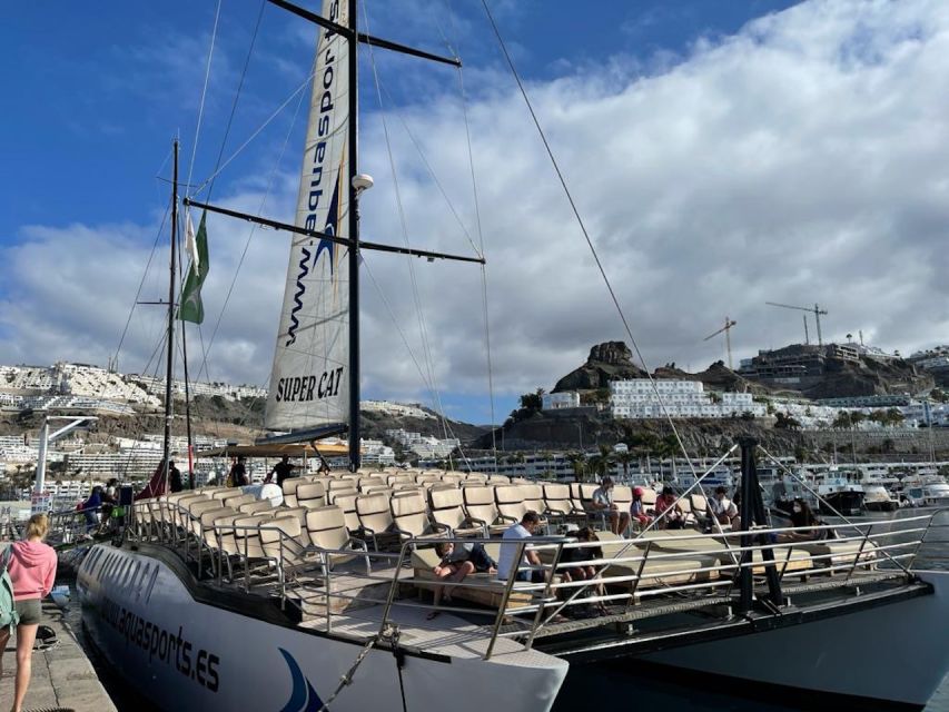 Puerto Rico : 2 hour Dolphin Catamaran Excursion - Looking for Dolphins and Whales, Plus the Extras