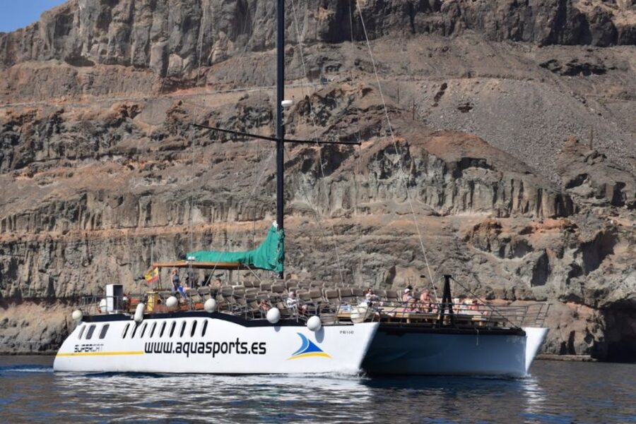 Puerto Rico : 2 hour Dolphin Catamaran Excursion - The Onboard Bar and the Small Comforts That Matter