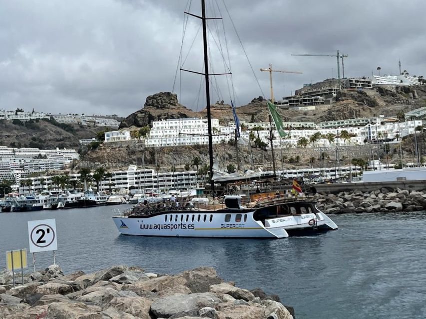 Puerto Rico : 2 hour Dolphin Catamaran Excursion - What Happens If You Don’t See Dolphins or Whales
